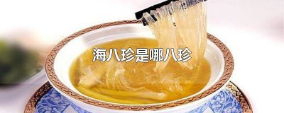 ​海八珍是哪八珍的别称 海八珍是哪些