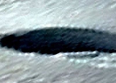 ​南极洲卫星图像中发现巨型黑色阴影 俄汉称是UFO残骸