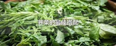 ​荠菜最简单的吃法 荠菜的几种吃法