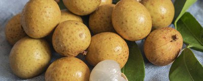 ​龙眼的由来 龙眼的由来是像什么动物