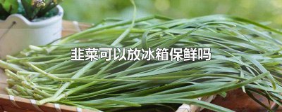 ​韭菜可以放冰箱保存吗 韭菜新鲜的可以放冰箱里吗