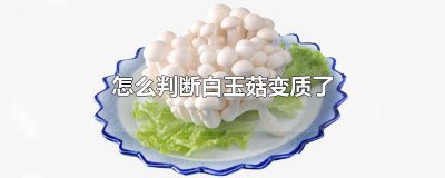 ​怎么判断白玉菇变质了 怎么判断白玉菇变质了没有