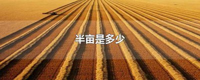 ​半亩是多少 半亩是多少个教室