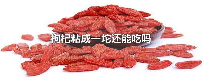 ​枸杞成坨是怎么回事 枸杞子成块可以吃吗