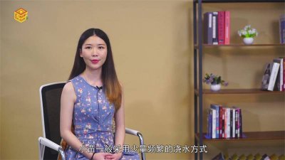 ​多肉植物多久浇一次水?怎么浇?浇多少 多肉植物多久浇一次水冬季