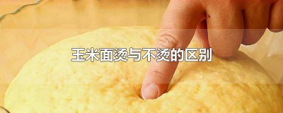 ​玉米面烫与不烫的区别锅里煮 玉米面烫与不烫的区别黄豆粉可以做豆浆吗?