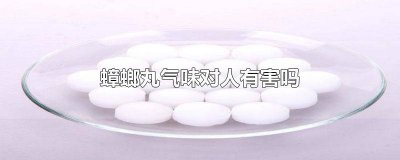 ​蟑螂药气味对人体有害吗 蟑螂丸子多闻对人有害吗?