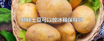​土豆能放冰箱吗保鲜吗能放多久 土豆可以放冰箱保存吗?