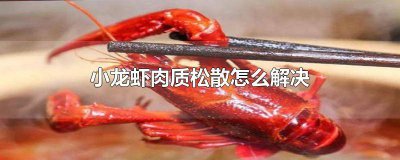 ​小龙虾肉质松散 小龙虾肉质紧实
