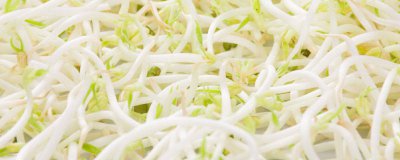 ​三色银芽是什么菜 金钩银芽是什么菜