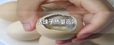 ​活珠子吃多好吗 活珠子能多吃吗有没营养价值