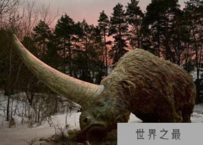 ​史上最大的有角犀牛，板齿犀(仅牛角就长达两米)