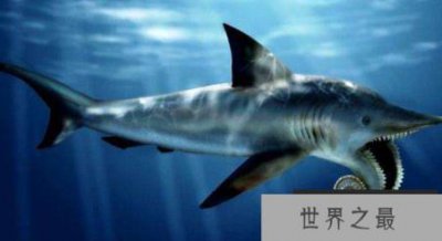 ​十大远古最恐怖的动物，幸好它们已经灭绝