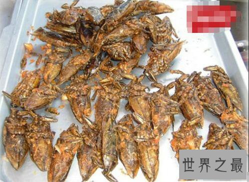 世界十大虫类美食，烧烤剧毒蜘蛛你敢吃吗