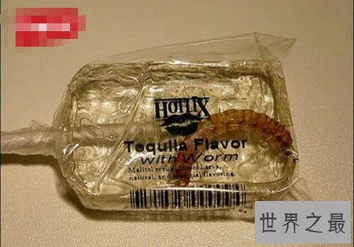 世界十大虫类美食，烧烤剧毒蜘蛛你敢吃吗