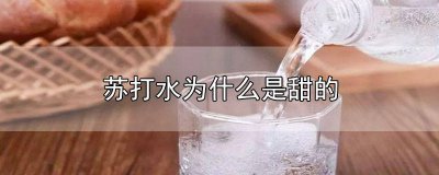 ​有味道的苏打水喝了会胖吗 苏打水的甜味剂会发胖吗