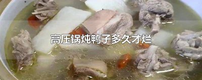 ​高压锅炖鸭子多久才烂 高压锅炖鸭子多久才烂熟