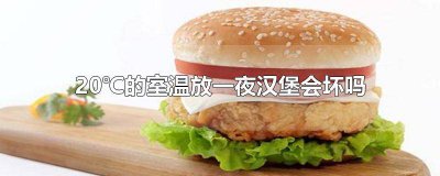 ​汉堡放12个小时会不会坏 汉堡放一天能坏吗