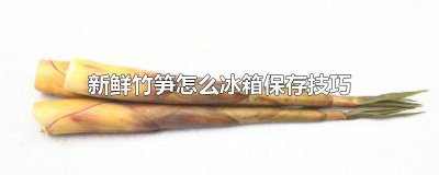 ​新鲜竹笋怎么冰箱保存技巧图解 新鲜竹笋怎么冰箱保存技巧图片