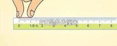 ​8寸是多少厘米直径 8寸是多少厘米cm