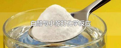 ​白醋与小苏打化学反应视频 白醋与小苏打化学反应说课PPT