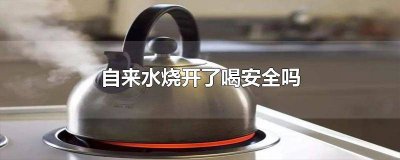 ​自来水烧开了喝安全吗会怎么样吗 现在的自来水烧开了喝安全吗