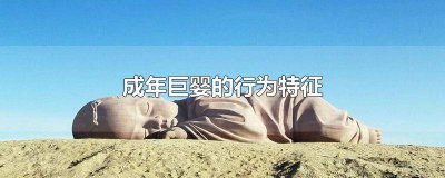 ​成年巨婴的行为表现 什么是巨婴行为