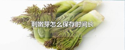 ​刺老芽怎么保存时间长 刺嫰芽怎样可以储存时间更长