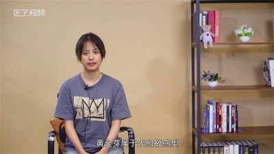 ​黄金芽属于什么茶产地 黄金芽是哪种茶