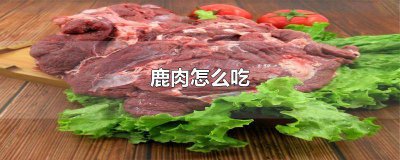 ​鹿肉怎么吃