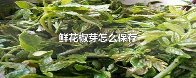 ​花椒芽怎么保存不变色 花椒芽怎样保鲜