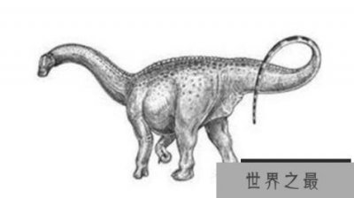 ​丘布特龙(Chubutisaurus)：体长23米的阿根廷超巨型恐龙