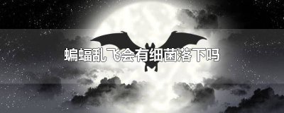 ​蝙蝠落到的地方会有病菌吗图片 蝙蝠落到的地方会有病菌吗视频