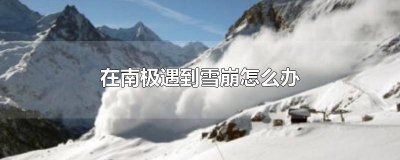 ​南极雪山崩塌 南极冰川雪崩怎么办