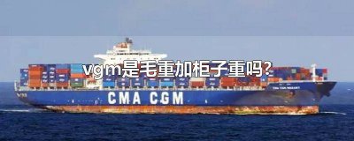 ​vgm重量是毛重加皮重吗 vgm和毛重