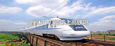 ​坐高铁可以带多长的小刀具 坐高铁可以带多长的小刀和刀具