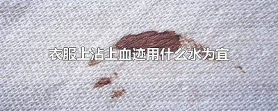 ​衣服上占有血迹用什么水 衣服有血迹用什么水洗