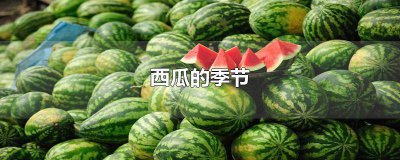 ​冬天西瓜文案 秋天西瓜文案