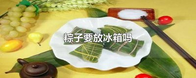 ​粽子要放冰箱吗 粽子要放冰箱吗夏天