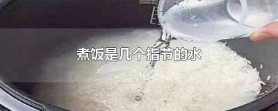 ​煮饭水位一节手指 煮饭怎么放水一个手指