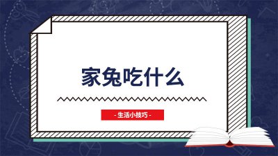 ​家兔吃什么才养得好 兔子喜欢吃什么