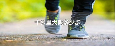 ​十公里多少步? 十公里一般是多少步