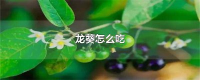 ​蔬菜龙葵怎么吃好吃视频 龙葵怎么吃最好