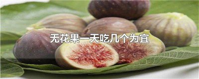 ​无花果一天最多吃几颗 一天最多可以吃几个无花果