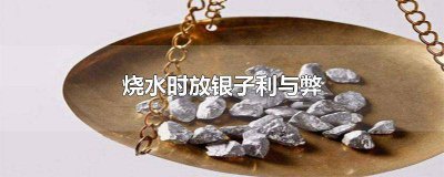 ​用水煮银子会怎样? 为什么要用银子煮水