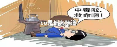 ​COO是干啥的 COO是干什么的