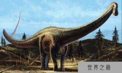 ​世界10大最大的恐龙，阿根廷龙身长约12米重100吨