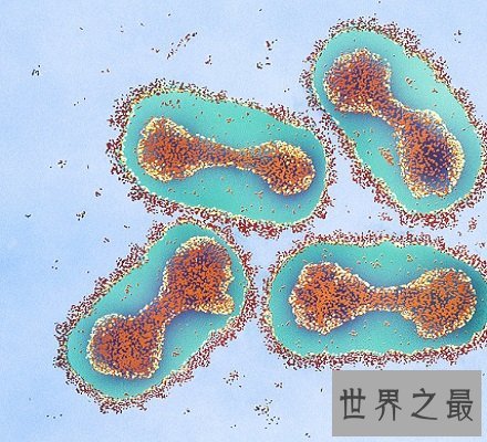 已被人类降服的传染病天花病毒 竟夺走了上亿人的生命！