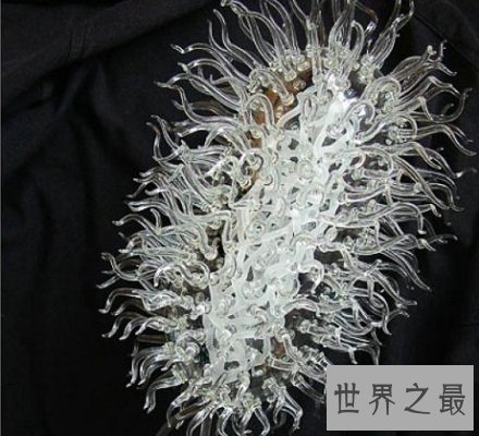 已被人类降服的传染病天花病毒 竟夺走了上亿人的生命！