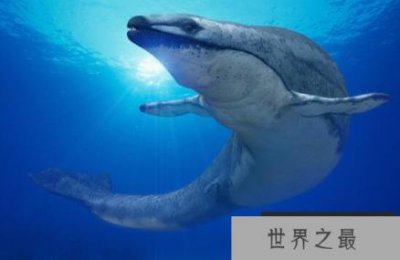 ​4500万年前的史前鲸鱼，龙王鲸轻易咬碎3200斤头颅